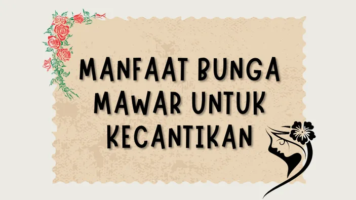 9 Manfaat Bunga Mawar Bagi Kesehatan Dan Kecantikan Yang Wajib Anda