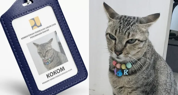Mengenal Kokom, Kucing ‘Pegawai’ Kementerian PUPR yang Mendadak Trending di Twitter