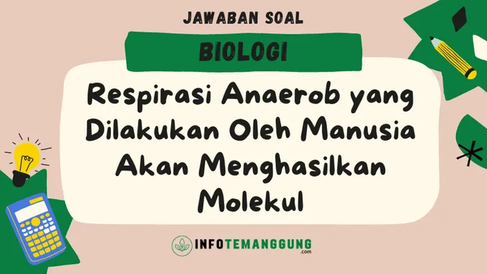 Jawaban Soal Biologi Kelas 12 Respirasi Anaerob Yang Dilakukan Oleh