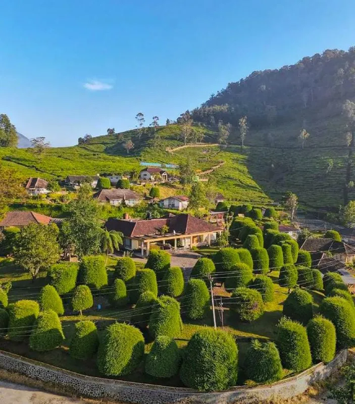 5 Wisata Di Ciwidey Bandung Paling Hits Dijamin Seru Ajak Liburan Si Doi Dan Keluarga Ke Sini 