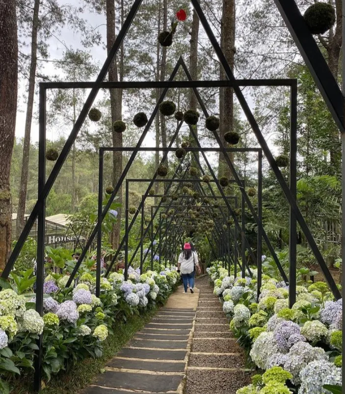 Orchid Forest Cikole Yang Lagi Hits 2023, Yuk Main Kesini! Simak Daya ...