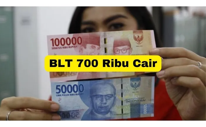 Cara Cek KTP 2024 Agar Dapat BLT Tanpa BRI Eform Bri Co Id 700 Ribu   338551848 