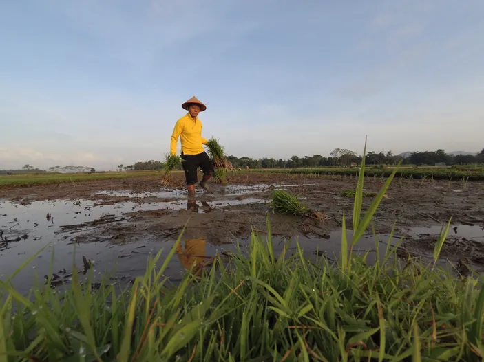 Jadi Daerah Tersepi? 5 Wilayah Di Kabupaten Bandung Ini Penduduknya ...