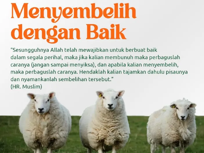 Tata Cara Yang Benar Dalam Menyembelih Hewan Qurban Menurut Syariat ...