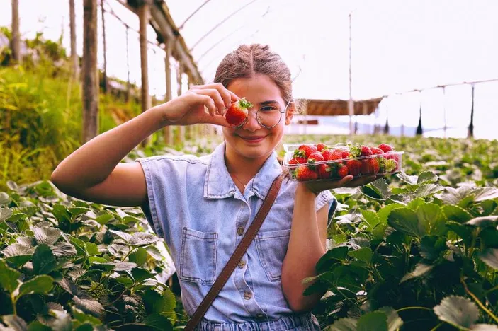 Apa Arti Mimpi Melihat Kebun Buah Yang Penuh?