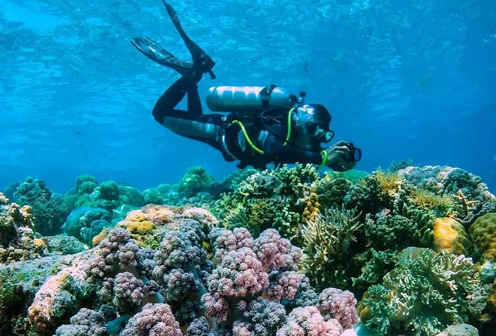 Surga Tersembunyi di Sulawesi Selatan, Pesona Alam Pulau Kapoposang ...