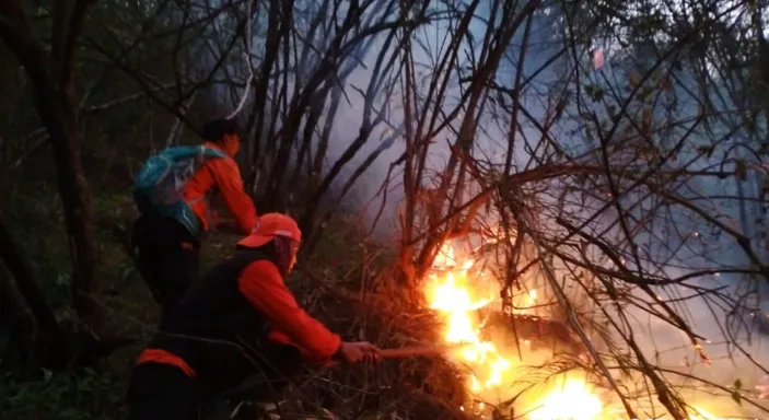 Kebakaran Hutan Gunung Ciremai Meluas, Ini Kawasan Yang Terdampak