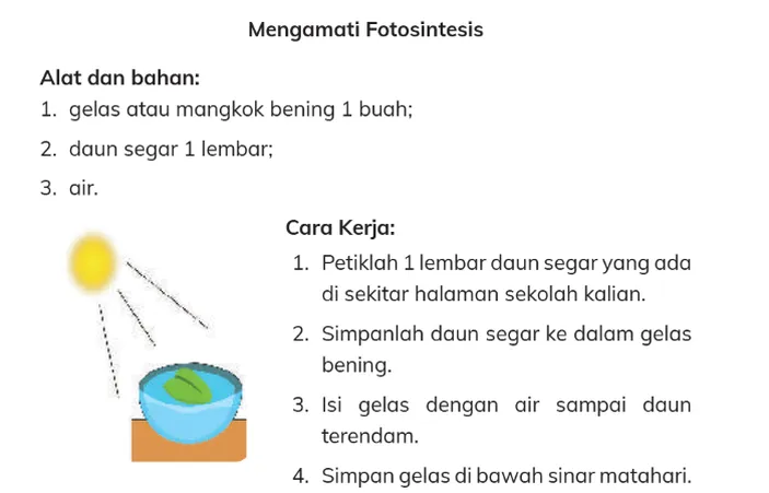 Kunci Jawaban IPAS Kurikulum Merdeka Kelas 4 Halaman 10: Percobaan ...