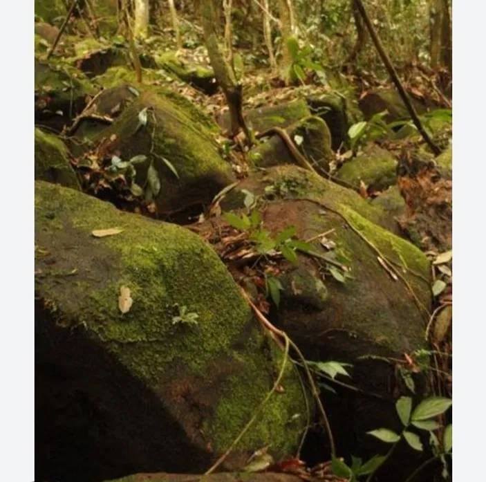 Viral Piramida Gunung Padang dan Toba, Temuan Batu Bersusun Mirip ...