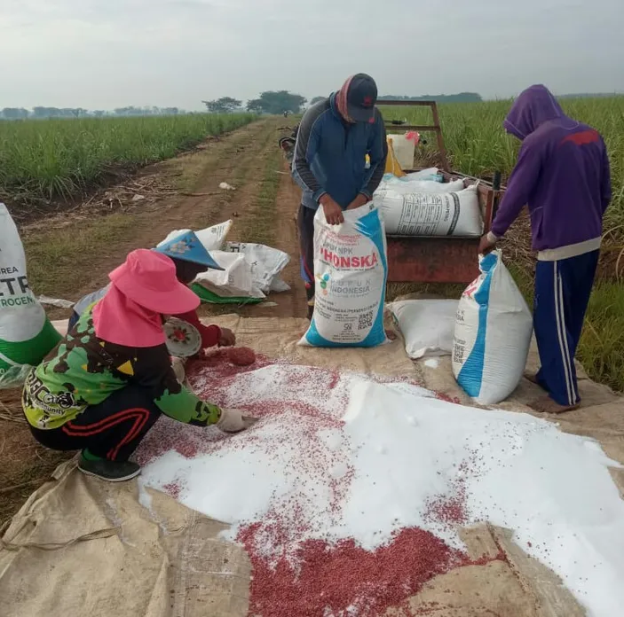 Prabowo Bakal Hapus Utang UMKM, Petani, Dan Nelayan: Ini Kriterianya ...