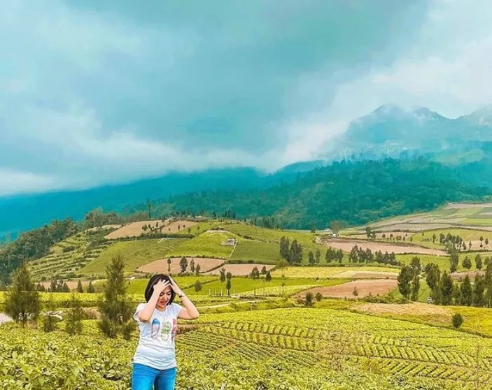 Wisata Puncak Brakseng Malang, Mengagumi Keindahan Alam Di Atas ...