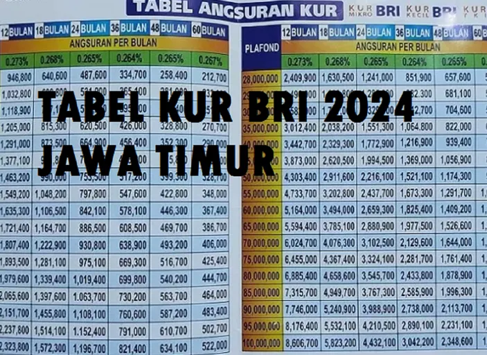 Tabel Pinjaman Kur Bri 2024 Kredit Umum Bunga 6 Persen Rp10 Juta Rp15