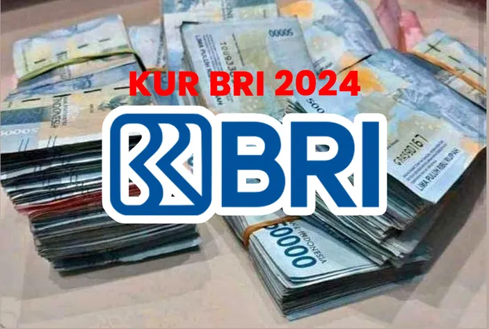 Cara Pengajuan Kur Bri 2024 50 Juta Tanpa Jaminan Cair Cukup Siapkan Syarat Dan Berkas Ini 1448