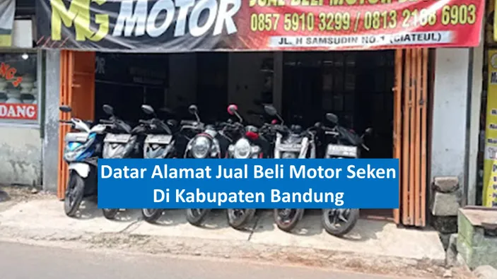 Panduan Lengkap: Daftar Alamat Jual Beli Online Terpercaya di Indonesia