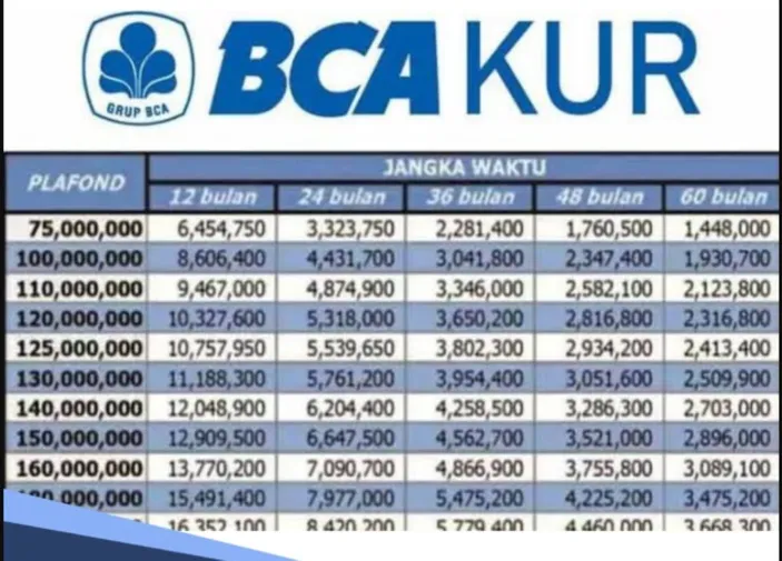 Modal Usaha Tanpa Ribet! Ini Cara Mudah Mengajukan KUR BCA Tanpa Agunan ...