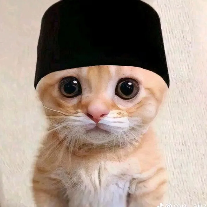 COMEL! PP Kucing Ramadhan 2024 Berjilbab, Cewe, Oyen, Pakai Peci