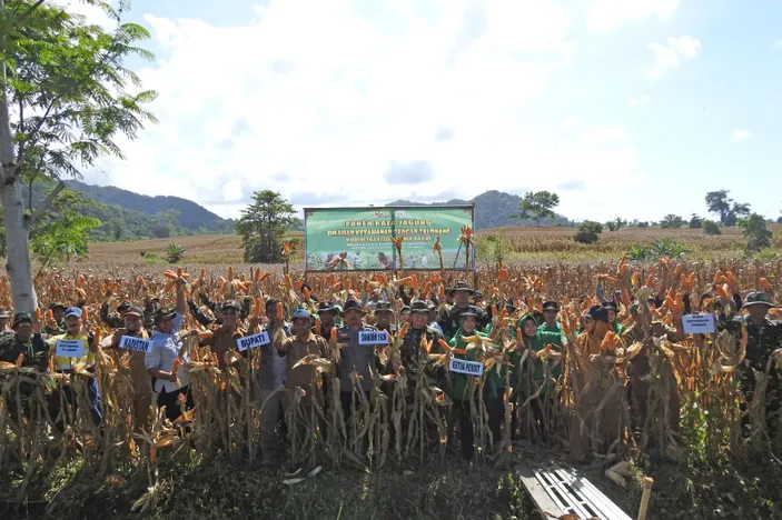 Panen Raya Jagung Program Unggulan Ketahanan Pangan Tni Ad Sukses