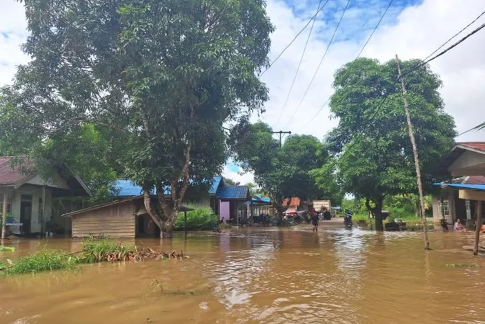 Sejumlah Dataran Rendah Di Kabupaten Kapuas Hulu Kalimantan Barat ...