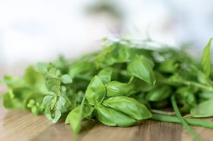 3 Manfaat Kesehatan Luar Biasa dari Kemangi, Rempah Aromatik yang Kaya Nutrisi