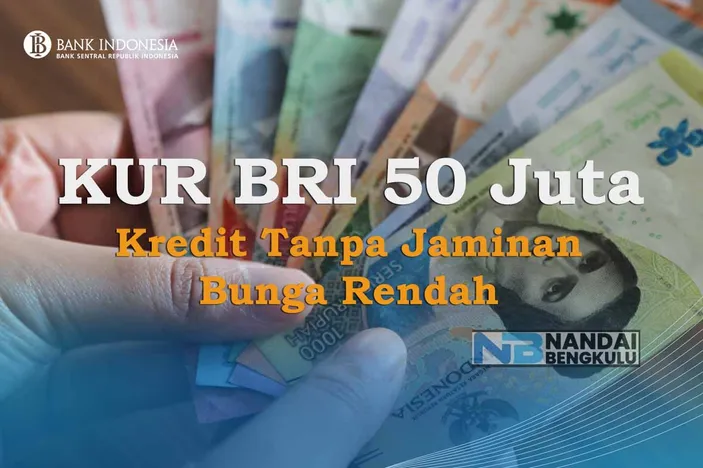 Buruan Daftar Pinjam Kur Bri 2024 50 Juta Kini Tanpa Jaminan Simak