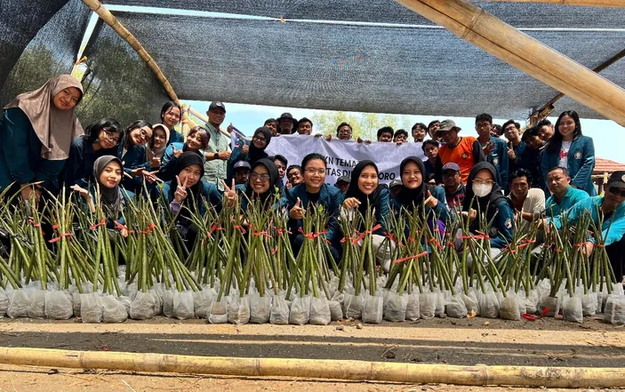 Undip Semarang Lakukan Terobosan Pembibitan Mangrove Menggunakan