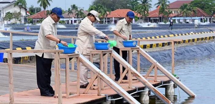 Dorong Swasembada Pangan, Presiden Prabowo Tebar Benih Ikan Nila Salin ...