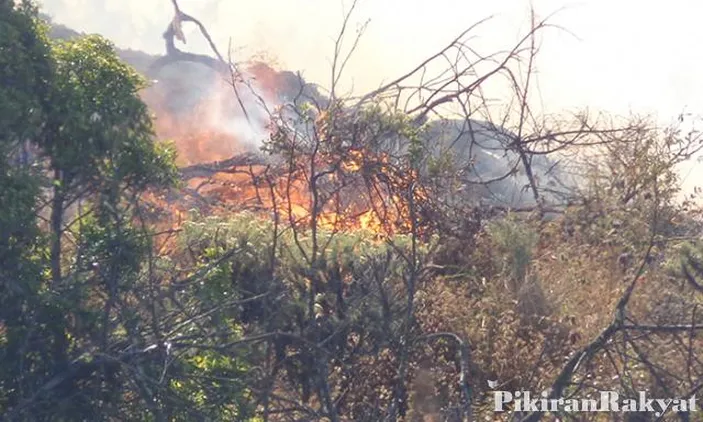 Kebakaran Gunung Ciremai Dinyatakan Status Darurat