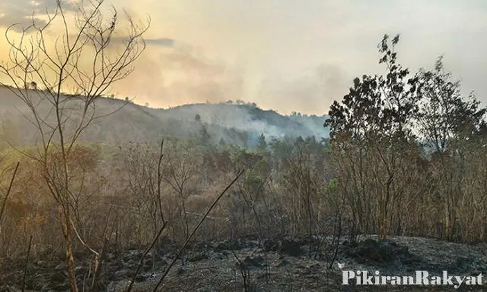 Kebakaran Kembali Melanda Kawasan Hutan Gunung Ciremai