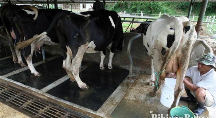 Selain Lembang, Wilayah Selatan Bandung Barat Juga Potensial untuk