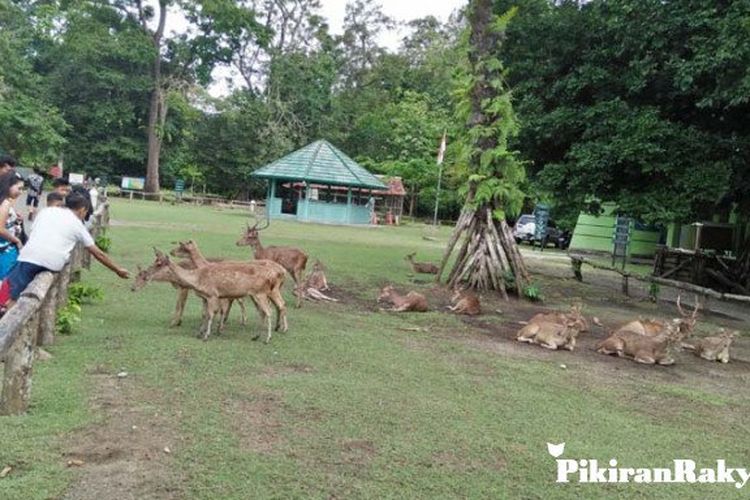 Ini Tujuh Tempat Favorit Untuk Lokasi Syuting Film Di Pangandaran 