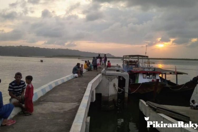 Tujuh Buaya Muncul Wisatawan Diimbau Tidak Mandi Di Pantai