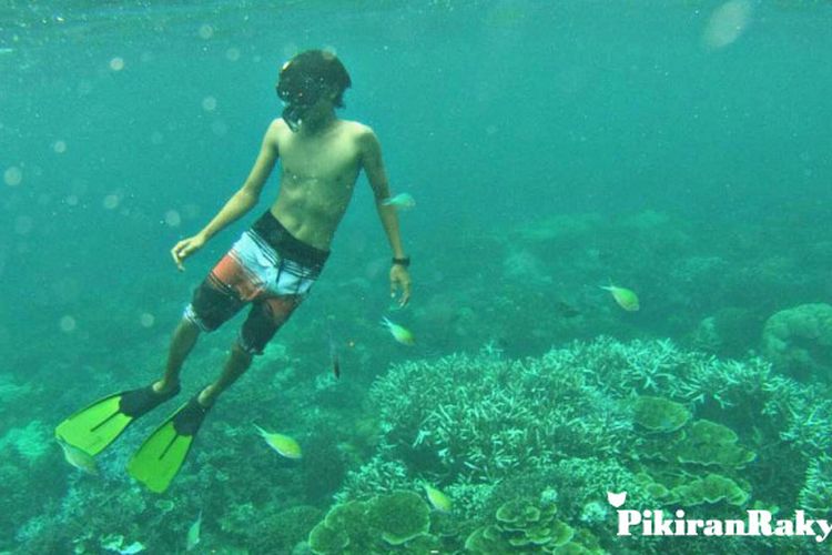 10+ Kreasi Pemandangan Bawah Laut - Foto Pemandangan HD