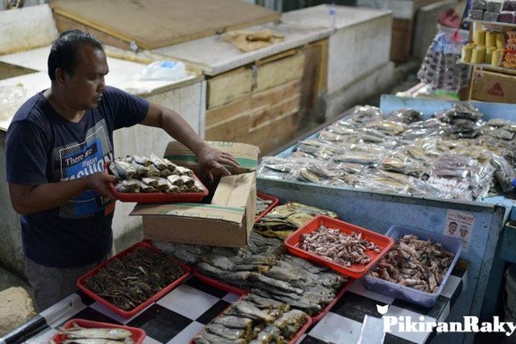 Begini Cara Konsumsi Ikan Asin yang Aman, kata dr. Ema