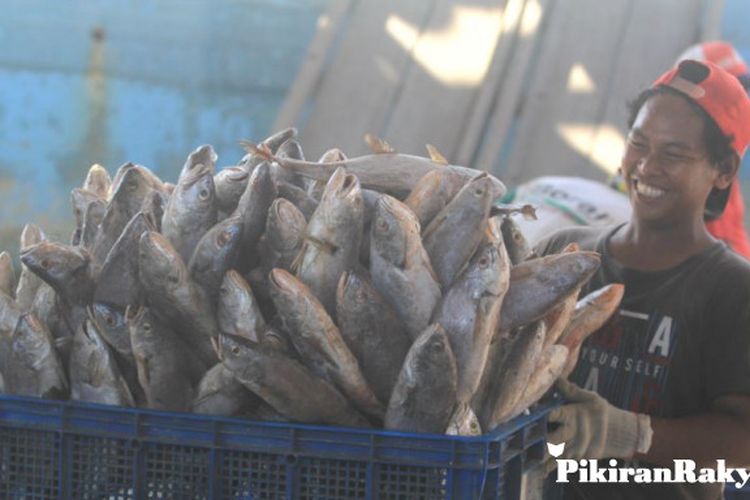 Nelayan Tersertifikasi Di Jawa Barat Masih Minim Pikiran