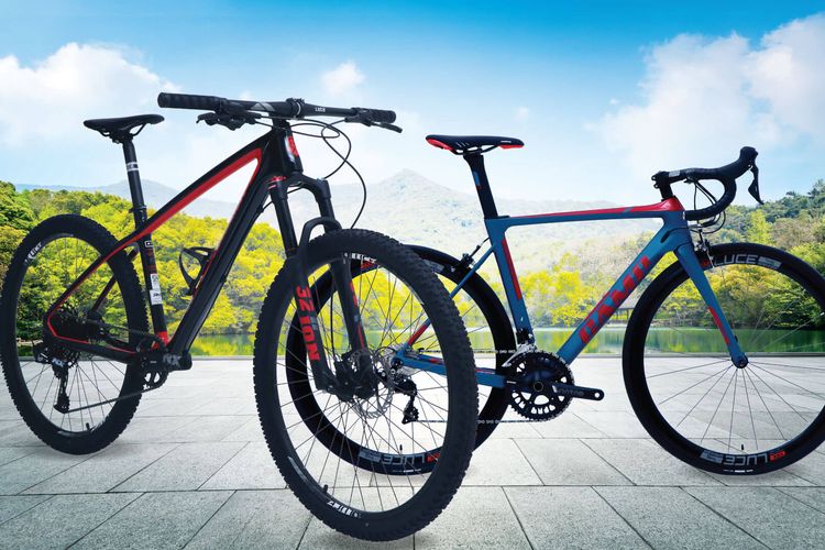 Tertarik Membeli Sepeda  Gunung  Berikut Daftar Harga  