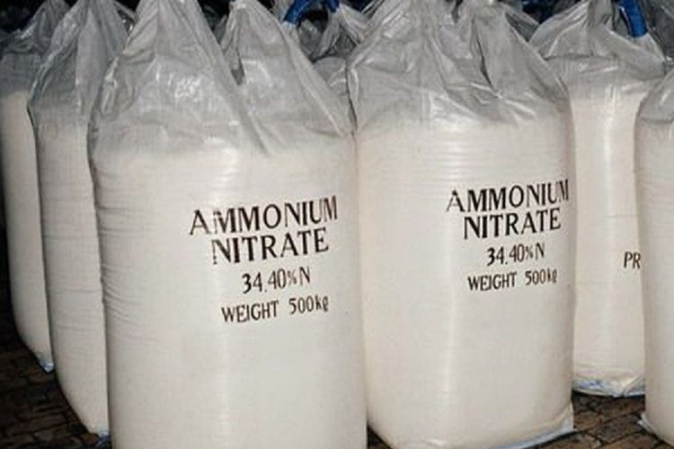 Apa itu Amonium Nitrat, Penyebab Ledakan di Lebanon - Ringtimes Bali