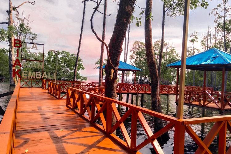 Taman Wisata Mangrove, Wisata Alam di Biak Cerdik Indonesia
