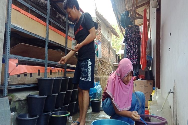 Raup Jutaan Rupiah Dari Ternak Ikan Cupang Kabar Banten