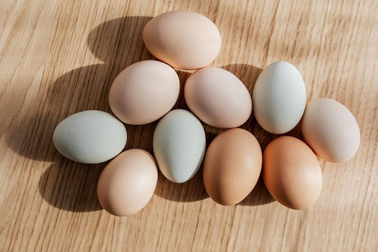 Harga Telur Ayam Baru Senin 1 Februari 2021 Jakarta Bogor Depok Tangerang Sampai Jatim Kabar Lumajang 