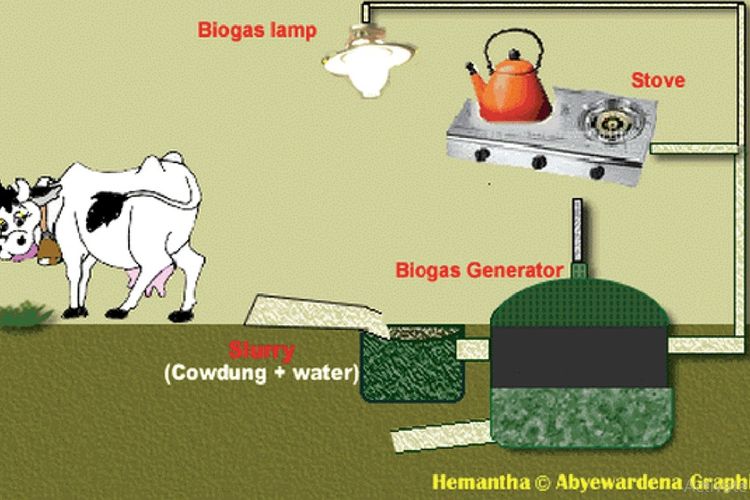 Berikan 2 Contoh Hambatan Menggunakan Biogas untuk Materi Tema 6 Kelas