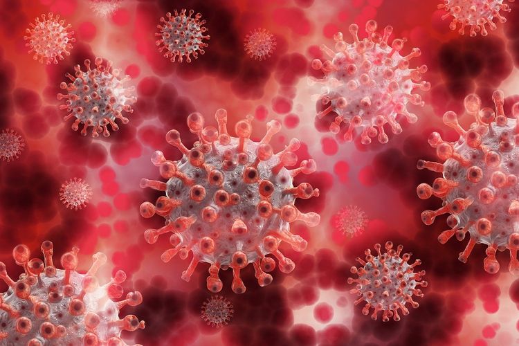 Mutasi Virus Corona B117 Mulai Terdeteksi di Indonesia, Pemerintah Perkuat Upaya 3T