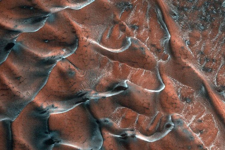 The Sand Dunes Occupy the Cold Crater in the North Plains of Mars