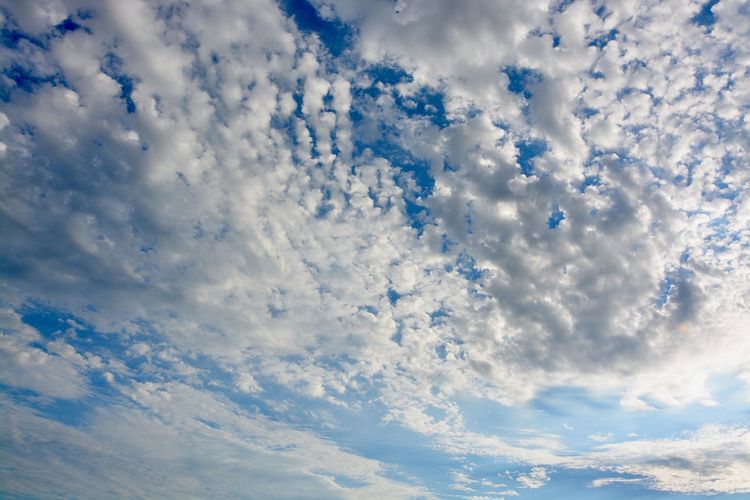 Materi Pelajaran Geografi Mengenal Jenis Jenis Awan Dan Ciri Cirinya Cumulonimbus Cirrus