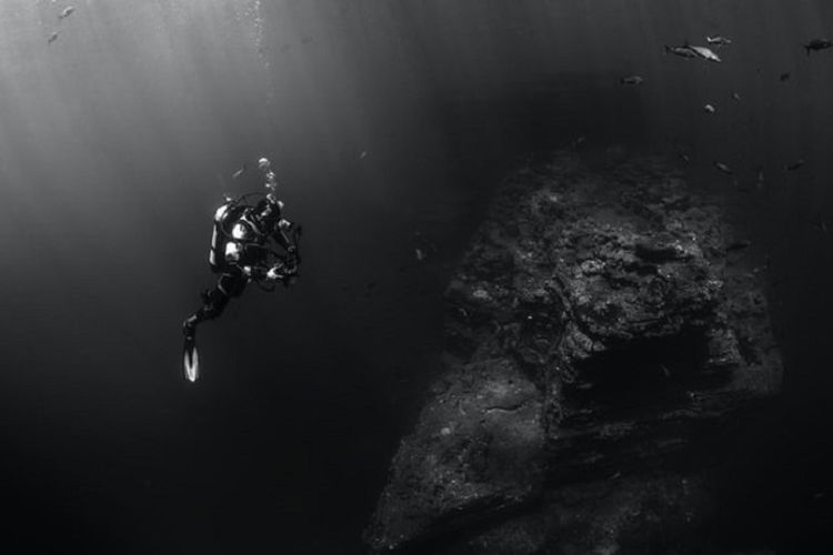 Kumpulan Kenapa Ikan Laut Dalam Tidak Berpengaruh Tekanan Air HD Terbaru