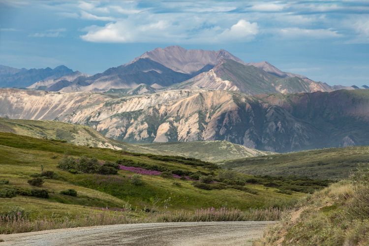 Putri Handayani Siap Taklukkan Denali Untuk 7 Summits Puncak Tertinggi Amerika Utara Pikiran Rakyat Com