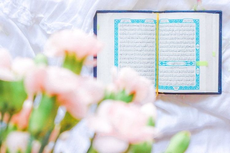 Download 82+ Contoh Surat Al Mulk Gus Baha Terbaru Gratis