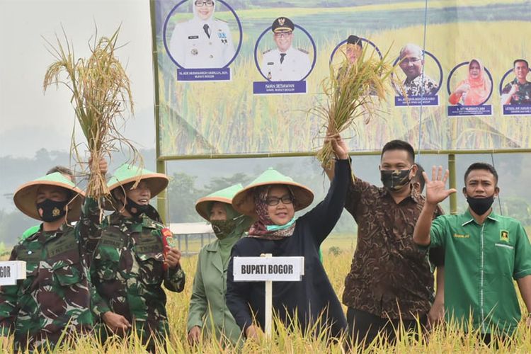 Berdayakan Petani Lokal, Pemkot Bogor Targetkan ASN Beli 850 Ton Beras Setiap Tahun