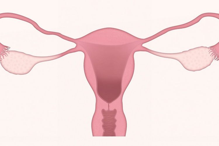 These are the symptoms of cervical cancer and how to prevent it!