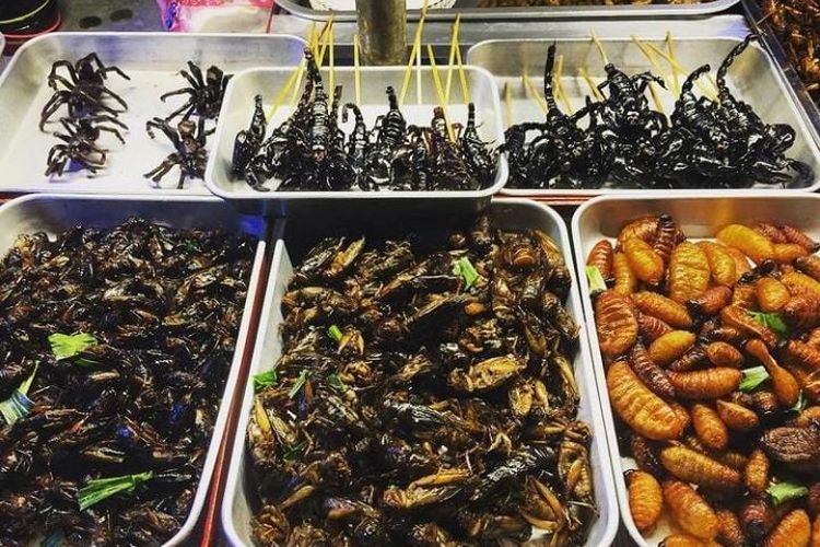 10 Kuliner Ekstrim Thailand yang Wajib Anda Coba, Ada Kalajengking Goreng  Hingga Tumis Kecebong - Jurnal Soreang