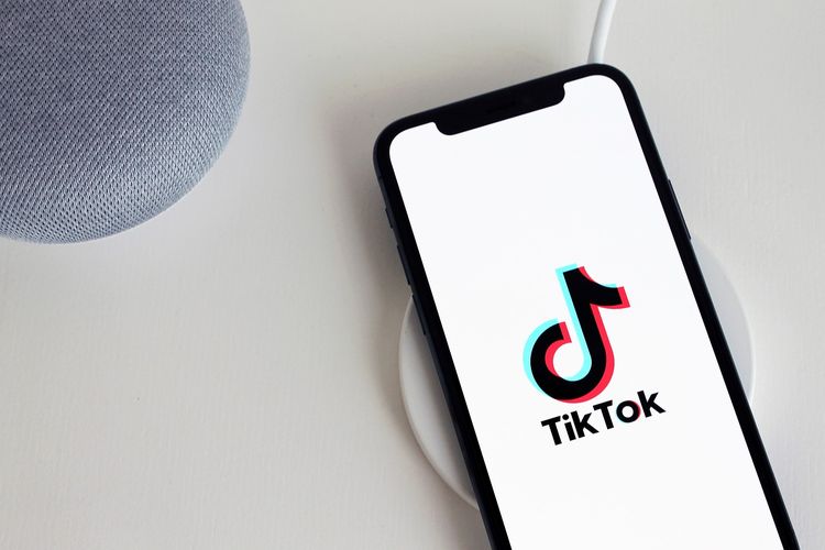 Apa Arti Kata Pantek yang Viral di TikTok? Simak Penjelasannya Berikut Ini Pikiran Rakyat